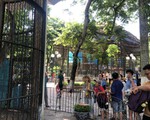 Vườn thú Hà Nội thu hút nhiều du khách tham quan dịp nghỉ hè