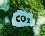 Thương mại tín chỉ carbon rừng