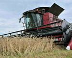 Nga nêu 7 điều kiện để nối lại thỏa thuận ngũ cốc