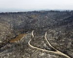 Cháy rừng ngày thứ 6 trên đảo Rhodes, Hy Lạp ban bố tình trạng khẩn cấp
