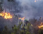 Nắng nóng cực độ, Tây Ban Nha chủ động phòng chống cháy rừng từ xa