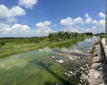 Nam Định: Sông, kênh mương đặc quánh, bốc mùi tại làng nghề tái chế nhôm
