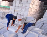 Cân đối xuất khẩu đảm bảo an ninh lương thực