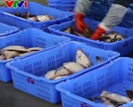 Hàn Quốc tiếp tục cấm nhập hải sản từ Fukushima