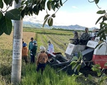 Thực hư chuyện hợp tác xã chặn máy gặt lúa của người dân tại Quảng Bình