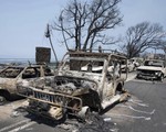 Thảm họa cháy rừng ở Hawaii: Đã có 89 người thiệt mạng
