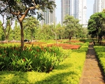Indonesia xây thêm hàng chục công viên mới để cải thiện chất lượng không khí