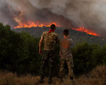 Hy Lạp bắt giữ hai người vì tội đốt phá dẫn tới nhiều vụ cháy rừng