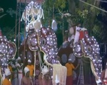 Rước xá lợi Phật - Lễ hội Phật giáo lớn nhất ở Sri Lanka