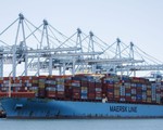Giá cước vận tải container tăng mạnh nhất 2 năm