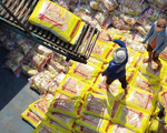 Xuất khẩu gạo đạt kỷ lục trong 8 tháng