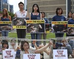Hàn Quốc đưa ra dự luật cấm ăn thịt chó