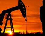 Giá dầu đảo chiều giảm mạnh