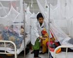 Dịch sốt xuất huyết  bùng phát nghiêm trọng tại Bangladesh