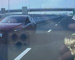 Nữ tài xế đi ngược chiều trên cao tốc Mỹ Thuận - Cần Thơ