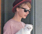 Mèo của Taylor Swift lọt top những thú cưng giàu nhất thế giới