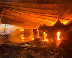 Cháy lớn tại xưởng gỗ hoạt động 'chui' ở Phú Thọ
