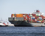 Cước vận tải biển tăng vọt: Doanh nghiệp xuất khẩu chủ động phương án