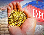 Xuất khẩu gạo Ấn Độ năm 2024 đối mặt nhiều thách thức