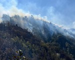 Bùng phát điểm cháy rừng mới tại Lào Cai