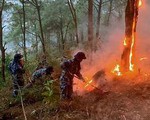 Nguy cơ cháy rừng tăng theo từng ngày ở nhiều khu vực trên cả nước