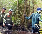 Nguy cơ cháy hơn 2.000 ha rừng tại Cà Mau