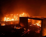 10 người tử vong do cháy rừng, Chile ban bố tình trạng khẩn cấp