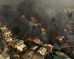 Cháy rừng ở Chile khiến 99 người thiệt mạng, hàng trăm người vẫn mất tích