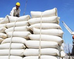 Ấn Độ sẽ tiếp tục cấm xuất khẩu gạo