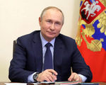Khảo sát trước bầu cử Tổng thống Nga: Ông Putin có thể giành trên 80% phiếu bầu