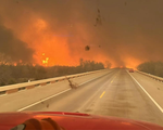 Vụ cháy rừng Smokehouse Creek ở Texas nghiêm trọng nhất trong lịch sử nước Mỹ