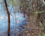 Cháy rừng tại 5 điểm ở Lai Châu do gió khô nóng thổi mạnh