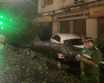 Hàng loạt cây xanh gãy đổ sau mưa giông ở Hà Nội, nhiều ô tô bẹp rúm