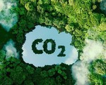 Thị trường tín chỉ carbon - Đòn bẩy phát triển kinh tế xanh