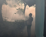 Biến đổi khí hậu làm tăng số ca sốt xuất huyết ở Indonesia ​