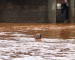 Vỡ đập ở Kenya nâng số nạn nhân chết vì lũ lụt lên hơn 120 người