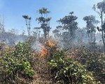 Hơn 50 người tham gia khống chế đám cháy rừng ở Bảo Lộc (Lâm Đồng)