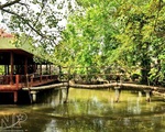 Du lịch miền sông nước hấp dẫn tại Châu Thành, Bến Tre