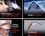 Từ 1/5, phải in cảnh báo trên bao bì thuốc lá