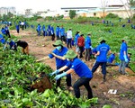 Thanh niên tình nguyện chung tay xây dựng nông thôn mới