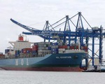 Chọn đơn vị khai thác bến cảng tổng hợp quốc tế Thị Vải 