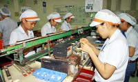 Vietnam calls for Japanese supporting industry investors