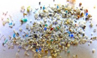 Scientists call for a ban on microbeads to protect the environment