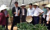 Mekong Delta - Japan agricultural co-operation potential