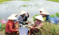 Drought, saltwater intrusion batter southern Vietnamese province