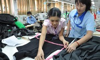 FTA with EEU opens door for Vietnam exports
