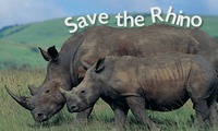 Young people help save the rhino