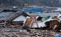 How the 2011 Japanese Tsunami Changed the Face of Science