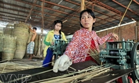 Support measures for traditional craft villages in the Mekong Delta region