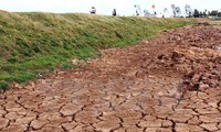 Ninh Thuan takes action against desertification